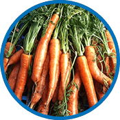 Seasonal Produce